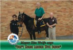 Birthday Celebration Will Honor Huntington's No Horsin' with Drugs "Mr. Chips" Mr. Chips